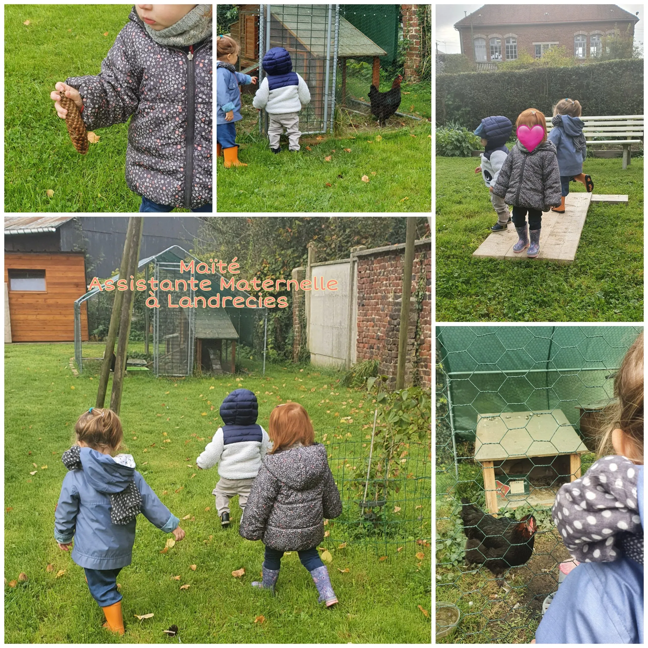 Les poules de chez Nounou